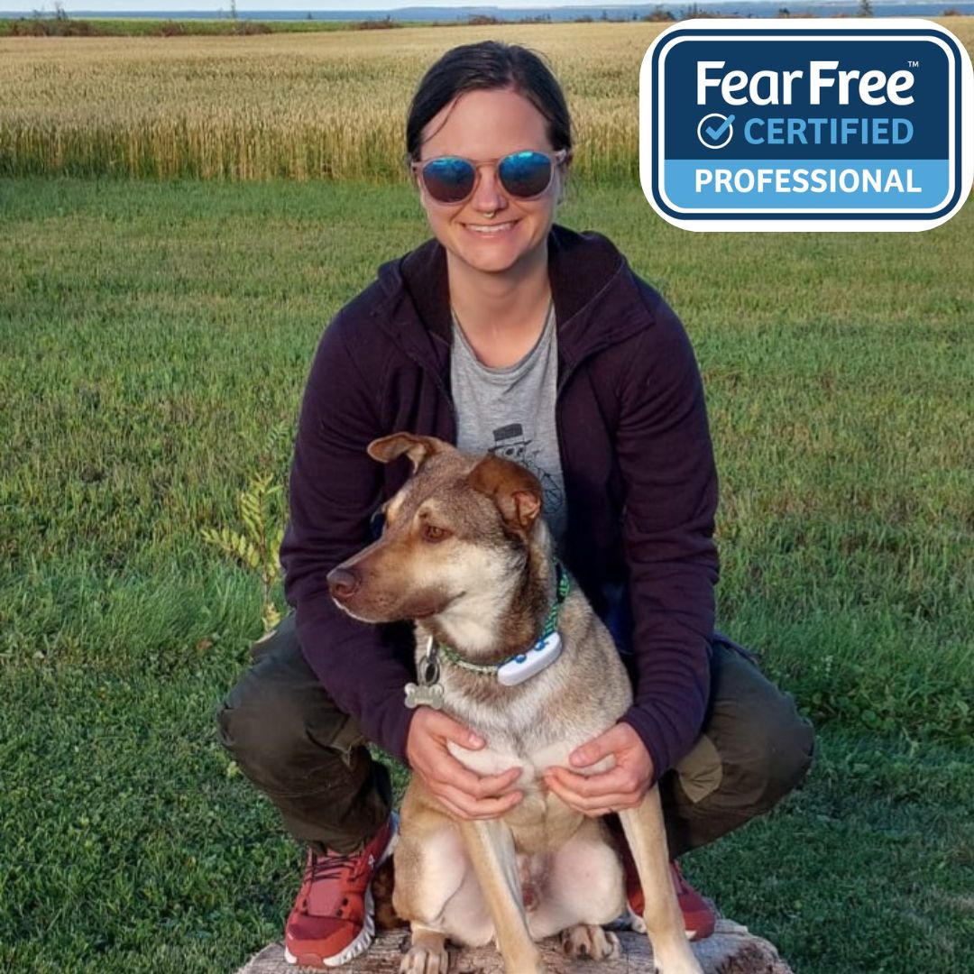 Anna, a Veterinary Technician at Waterloo West Animal Hospital, kneels on a tree stump in an open field while smiling and holding a tan and brown dog. She wears sunglasses and outdoor gear, with a “Fear Free Certified Professional” badge in the corner, showcasing her commitment to gentle, stress-free pet care.